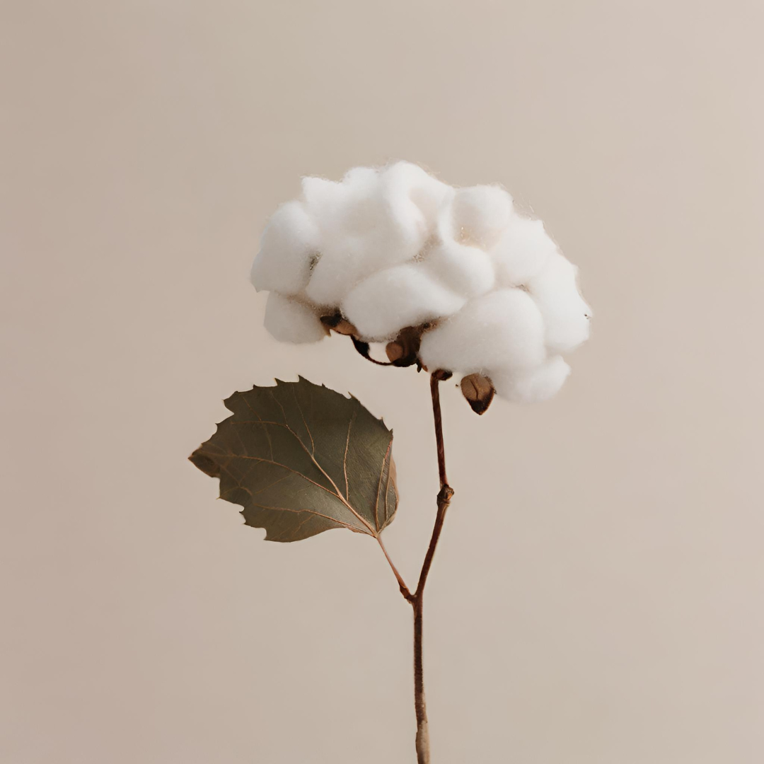 Fondant parfumé artisanal Fleur de Coton aux notes fraîches et florales de bergamote, muguet et musc