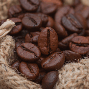 Graine de café que l'on utilise en parfumerie