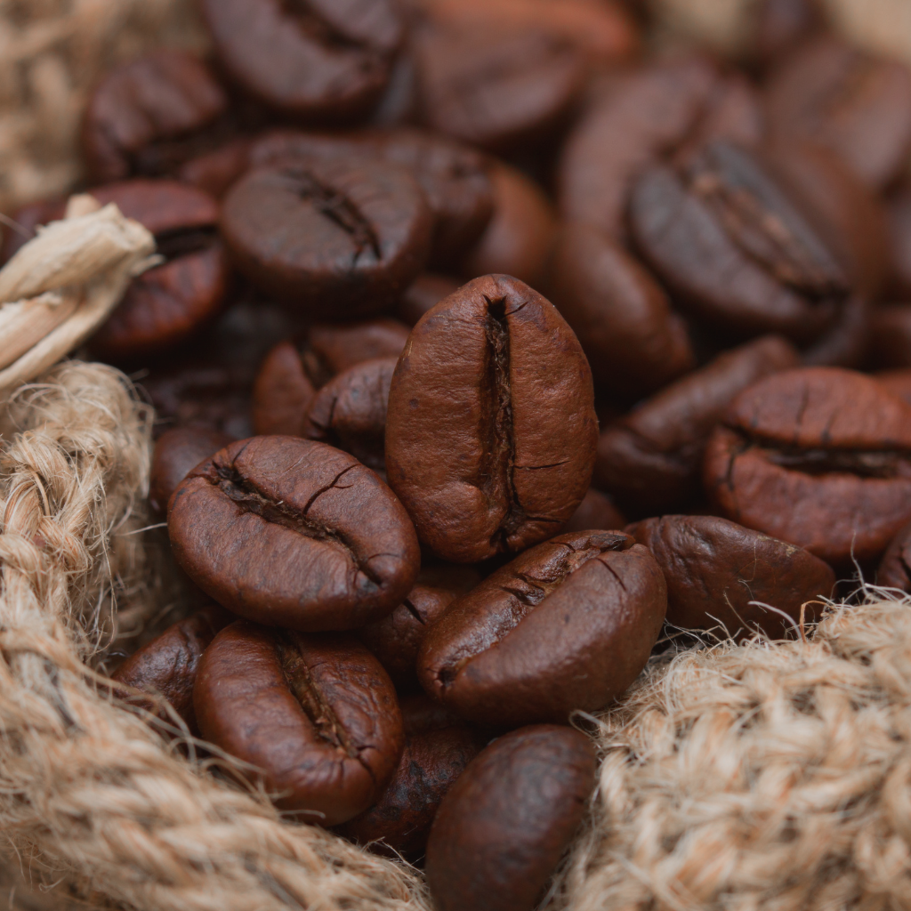 Graine de café que l'on utilise en parfumerie